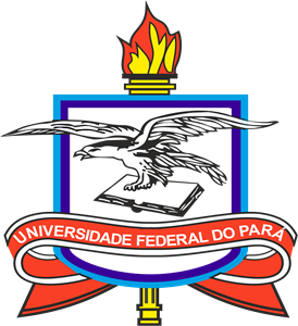 Universidade Federal Do Pará